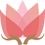 开云集团「中国」Kaiyun·官方网站