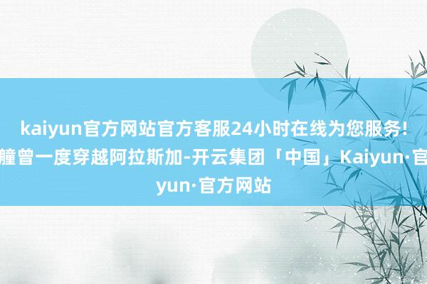 kaiyun官方网站官方客服24小时在线为您服务!中国艨艟曾一度穿越阿拉斯加-开云集团「中国」Kaiyun·官方网站